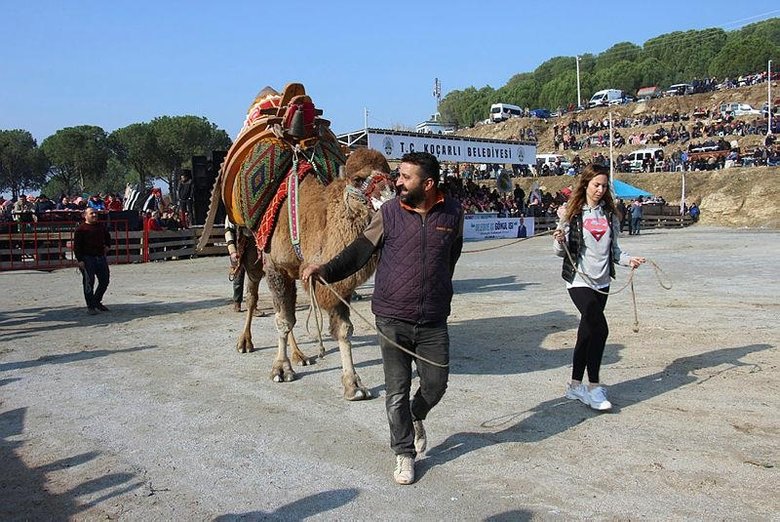 Koçarlı’da büyük coşku! Binlerce kişi böyle izledi