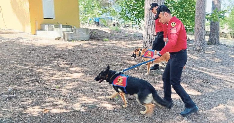Kayıp ekonomist dört koldan aranıyor