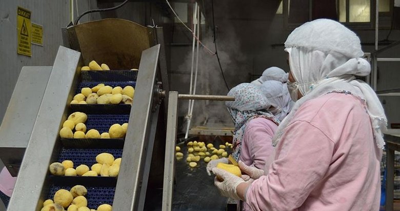 Gıda sanayisi 160 milyar dolarlık hacme ulaştı