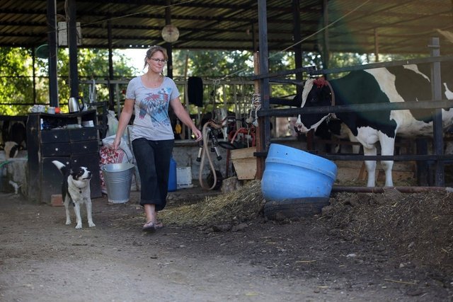 İngiliz gelin, aşkı için çiftçi oldu