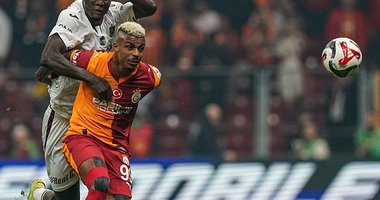 Ne Aslan Ne Fırtına