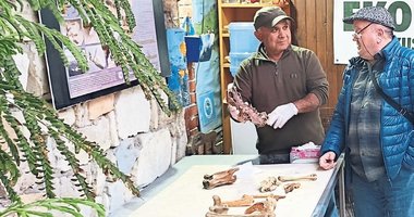 Aydın Kuşadası sahilinden tarih fışkırdı