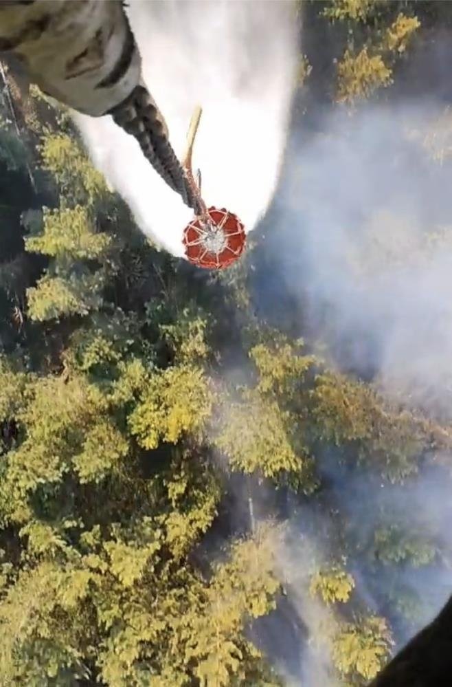 Çanakkale Bayramiç’te orman yangını! Kontrol altına alındı