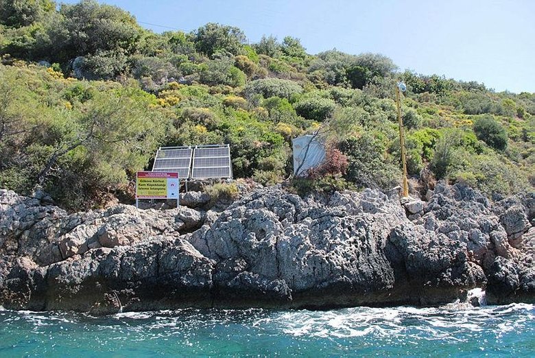 Muğla’daki o turistik koy kum köpek balığı üreme alanı oldu