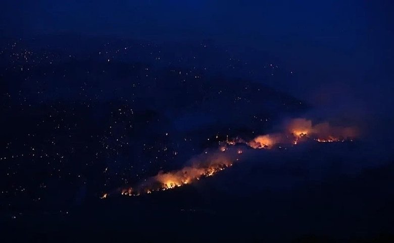 Son dakika: Denizli’deki orman yangını kontrol altında