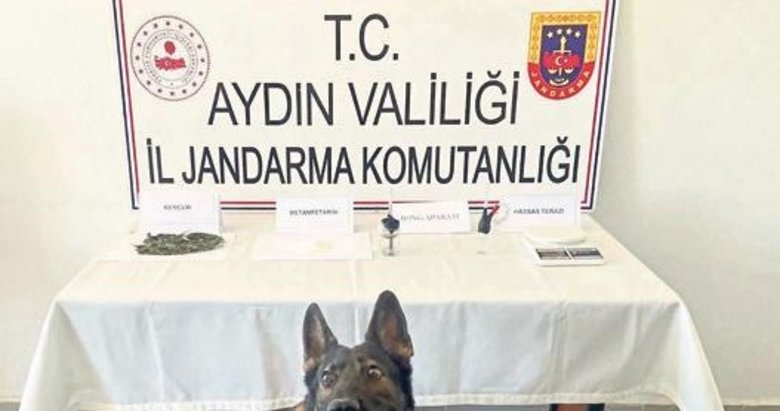 Çantadaki uyusturucuya narkotik köpek engeli