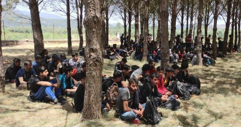 Muğla ve Aydın’da yüzlerce göçmen yakalandı