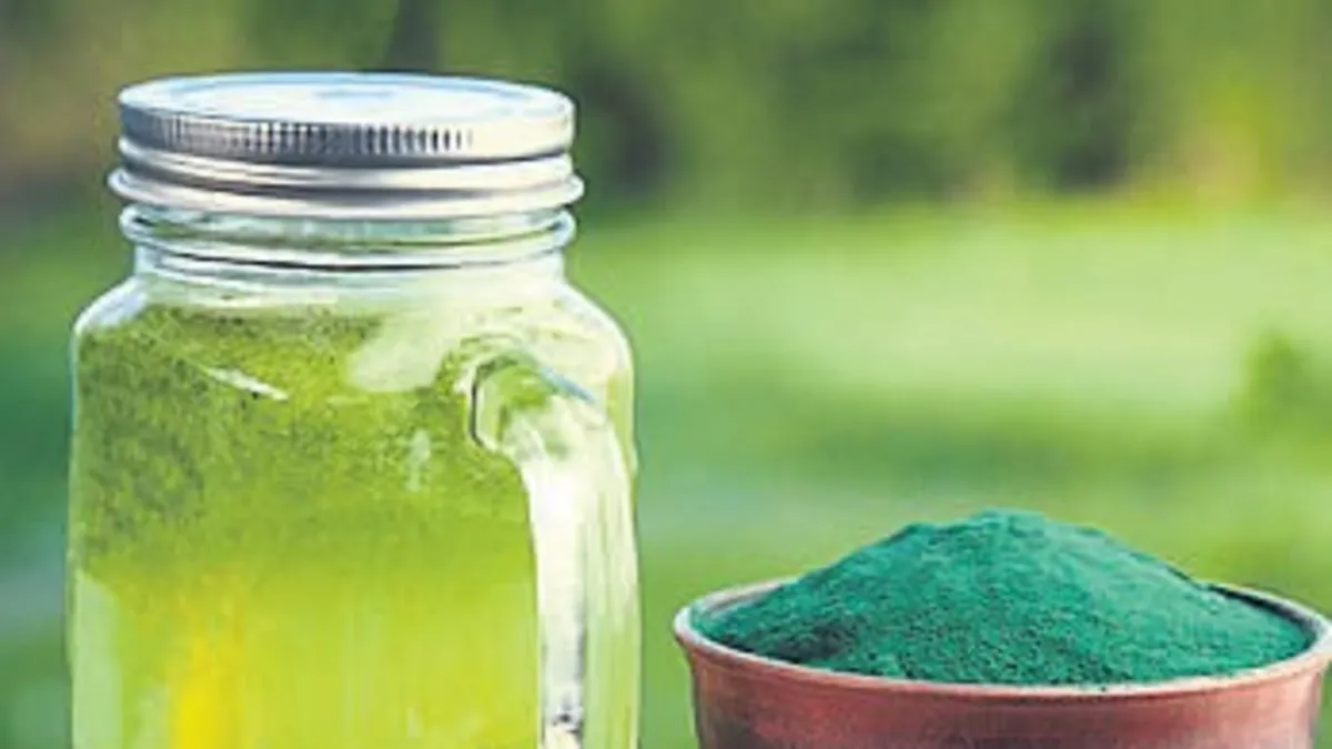 Spirulina zayıflatıyor mu?