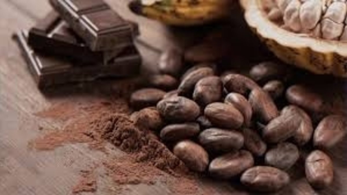 Cildi güneşten nasıl koruyor? İşte bitter çikolatanın şaşırtan etkisi...