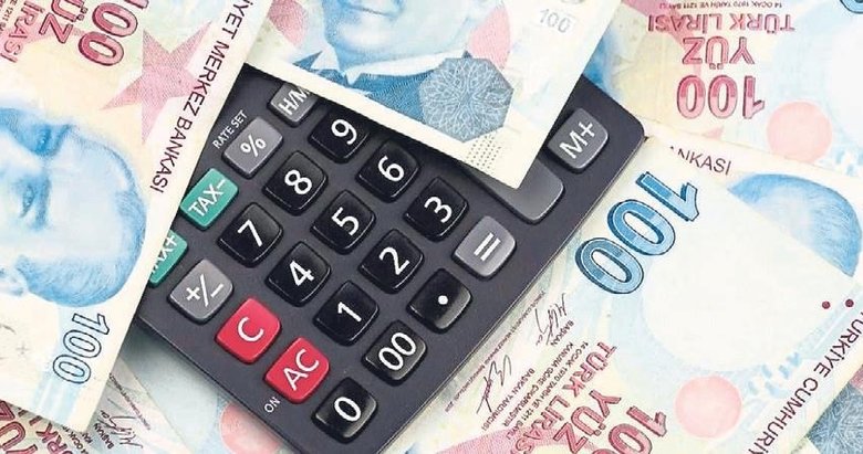 Kalkınma ajanslarının 2025 yılı ödeneği belli oldu