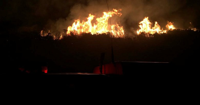 İzmir’de çıkan yangın söndürüldü