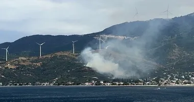 Balıkesir’de bir yangın daha çıktı