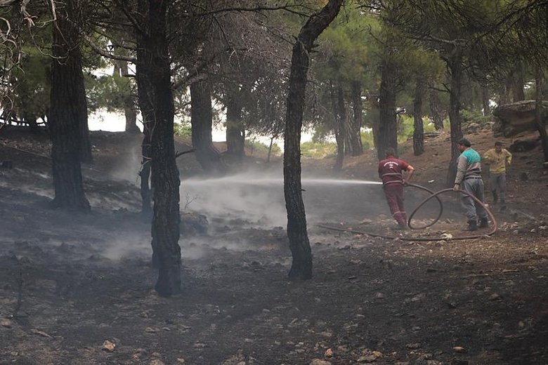 Piknik ateşi yangına yol açtı! 10 dönüm ormanlık alan zarar gördü