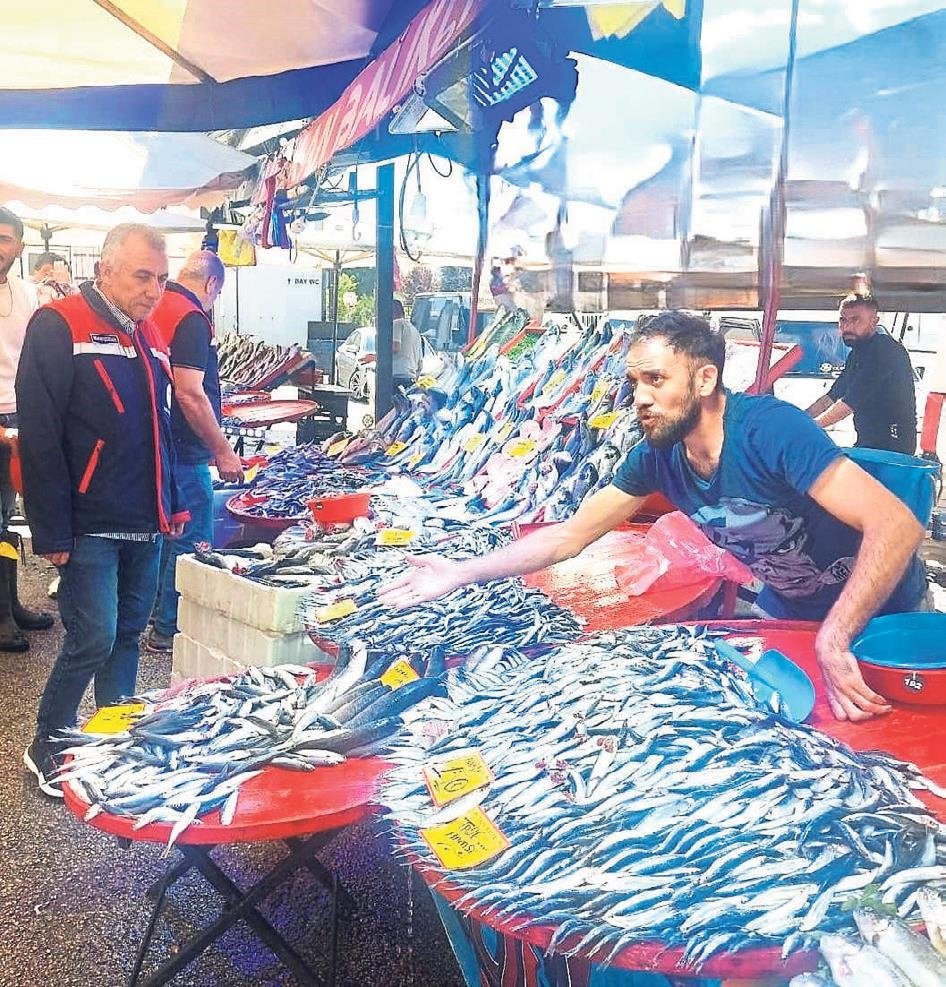 Tezgahlarda palamut az sardalya bol