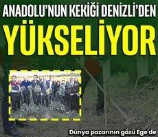 Anadolu’nun kekiği Denizli’den yükseliyor