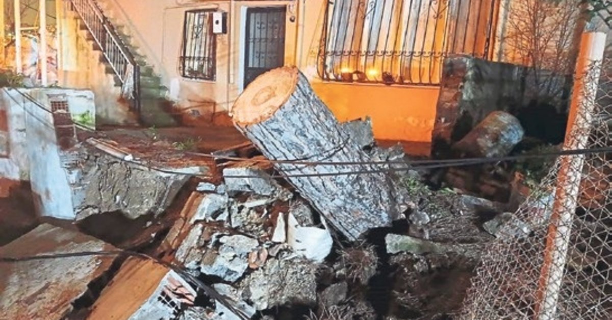 Devrilen ağaç alevlere teslim