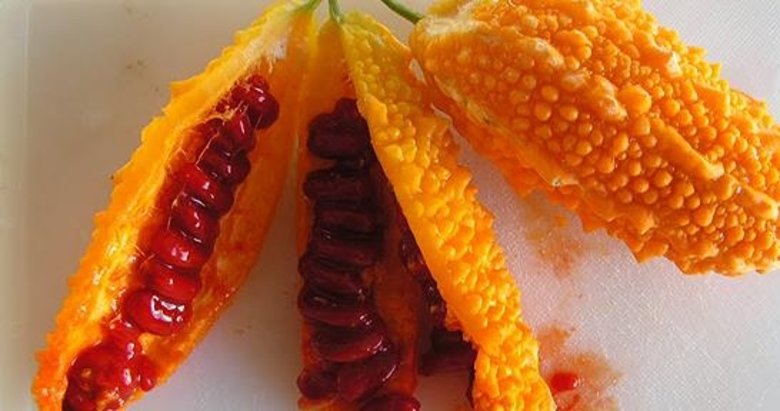 Şifa deposu kudret narı