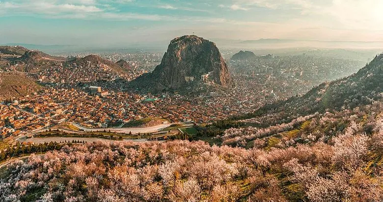 Çiçek açan badem ağaçları bu zor günlerde umut oldu ...