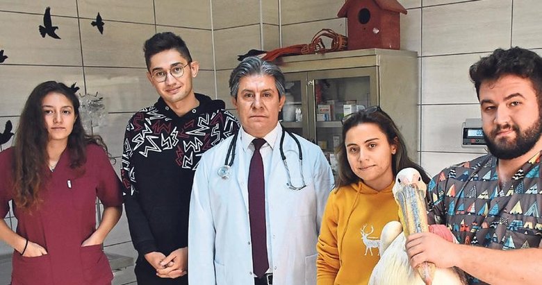 Gönüllü öğrenciler yaban hayvanlarını tedavi ediyor