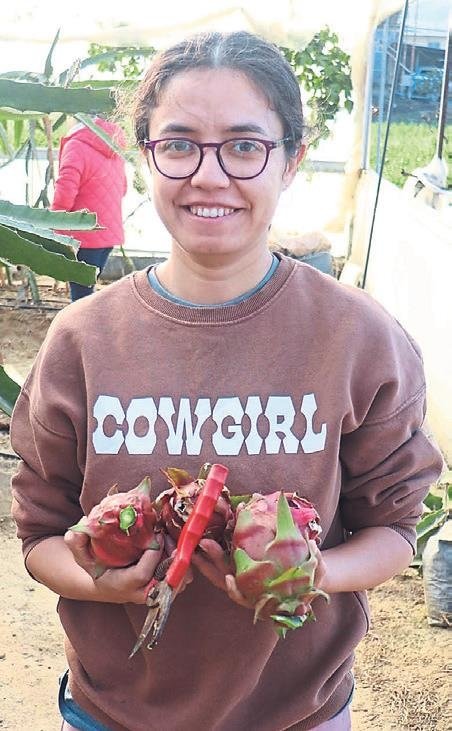 Ejder meyvesi hayatını değiştirdi