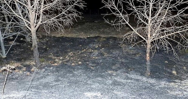 İzmir-Çeşme yolunda ot yangını! Anında kontrol altına alındı