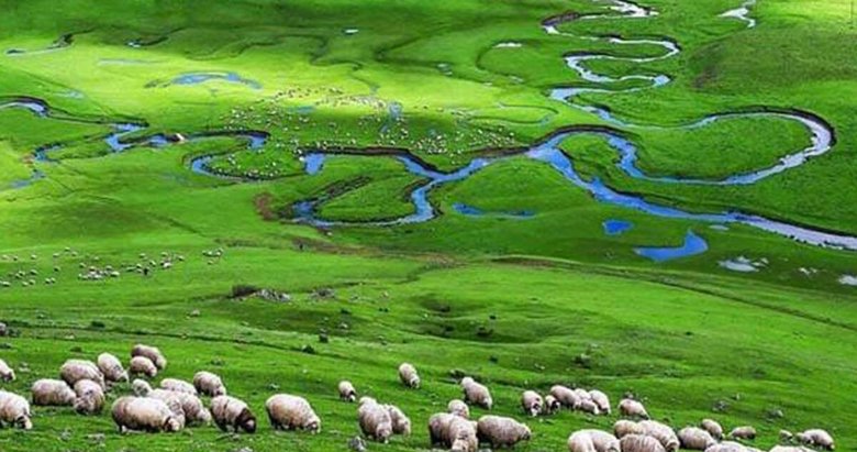 Mutlu insanların şehri Ordu