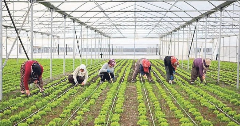 Bölgesel kalkınmaya 15.6 milyar liralık yatırım