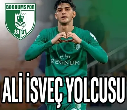 Ali İsveç yolcusu