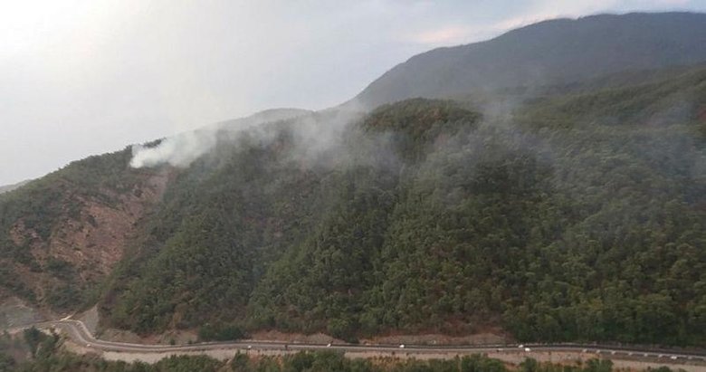 Muğla’nın Köyceğiz ilçesinde çıkan orman yangını kontrol altına alınmaya çalışılıyor