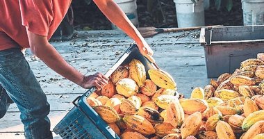 Seyahatte yeni moda antilüks