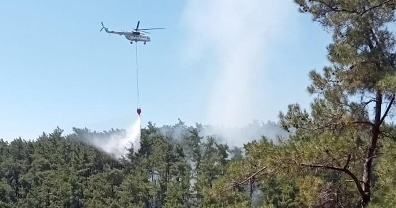 Muğla’da ormanlık alandaki yangın söndürüldü