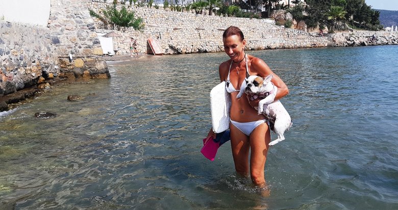 Bodrum’da sörf yapan köpek ilgi odağı oldu