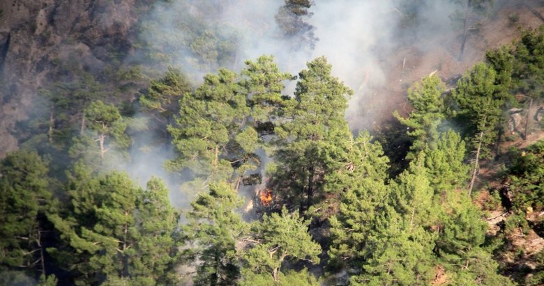Son dakika: Muğla’da orman yangını!