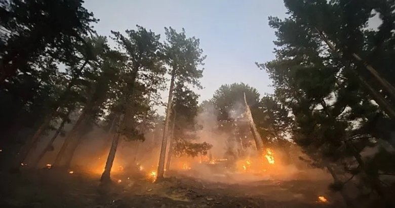 Bakan Yumaklı orman yangınlarıyla ilgili son durumu açıkladı: 6 ilde 7 yangın kontrol altında