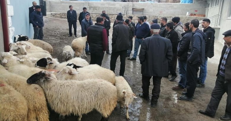 Afyonkarahisar’da köy halkı depremzedelere yardım için koyunlarını sattı