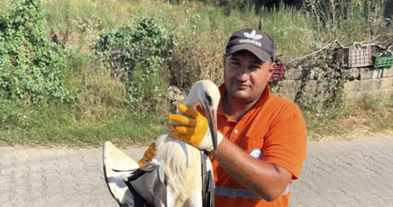 Duyarlı personelin dikkati yaralı leyleği kurtardı