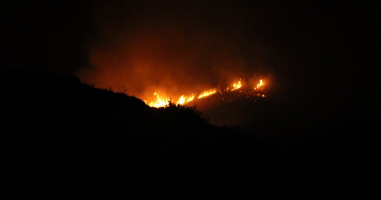 Bodrum’da çıkan yangın helikopter desteğiyle söndürüldü