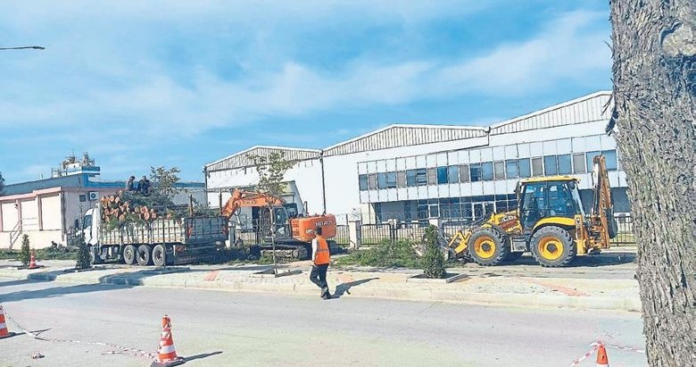 Çiğli’deki OSB’de ağaç katliamı
