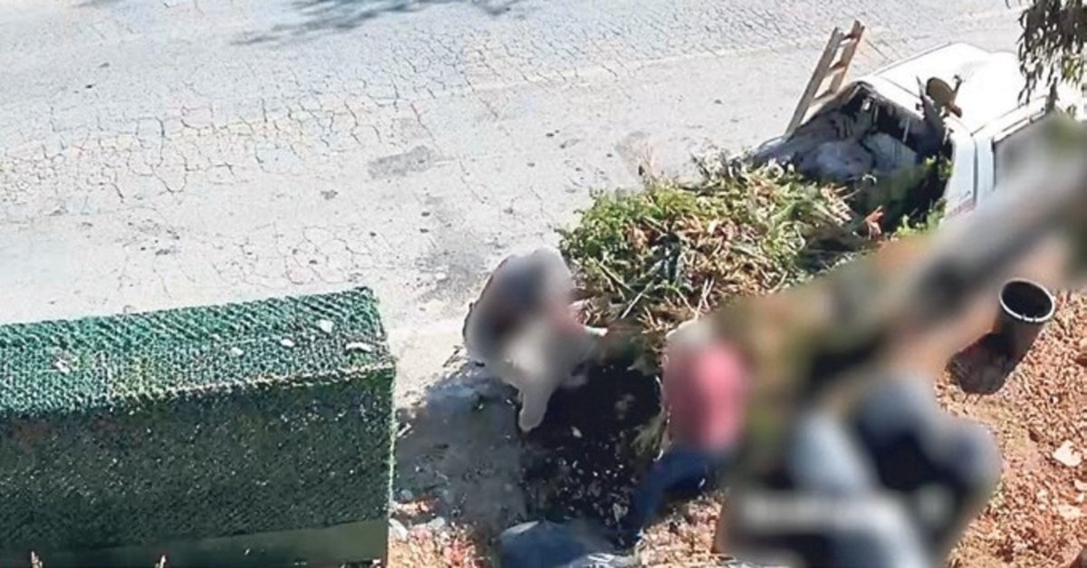 Bodrum'da hem 19 milyon ceza hem de çevre temizliği!