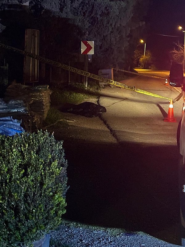 İki kaza arası film gibi hayat