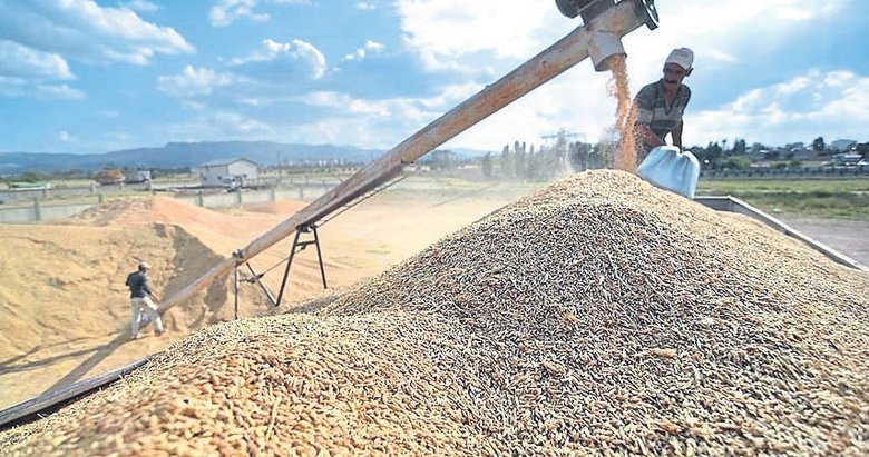 Hububat üretiminde yüksek verim potansiyeli bekleniyor
