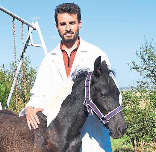 Türkiye’nin ilk tüp tayı ‘Balat’