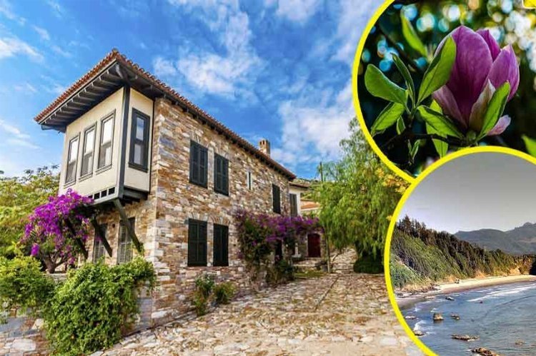 Açık hava müzesi gibi köy: Domatia