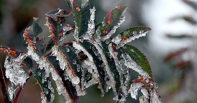 Meteorolojiden İzmir ve Aydın için uyarı