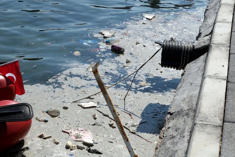 Müsilaj tekrar mı geliyor? Foça’daki deniz kirliliği endişelendirdi!
