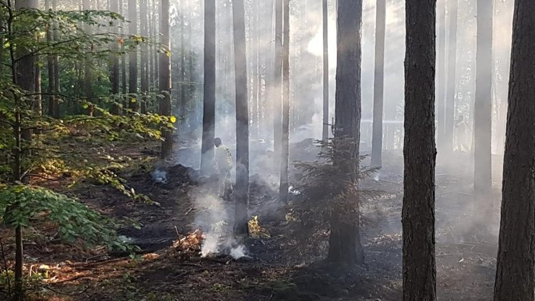 Çanakkale Bayramiç’te orman yangını! Kontrol altına alındı