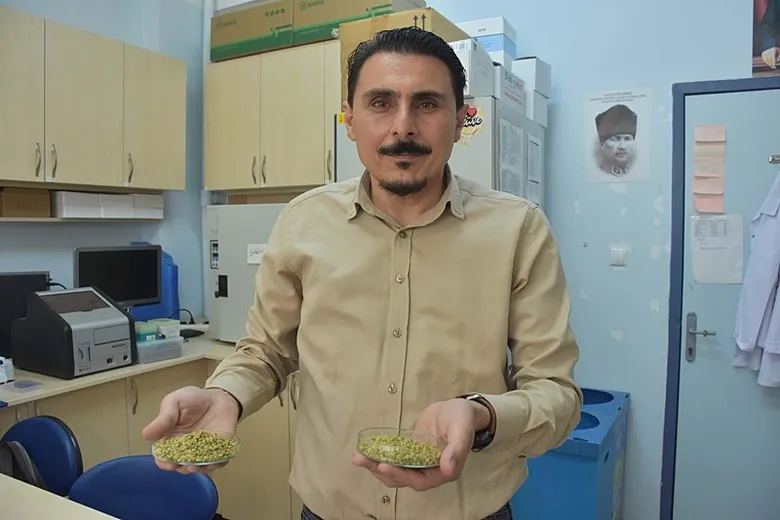 izmir-kekigiyle-ilgili-ezber-bozan-arastirma-ciddi-sorunlar-acacak-1790582602167.jpeg