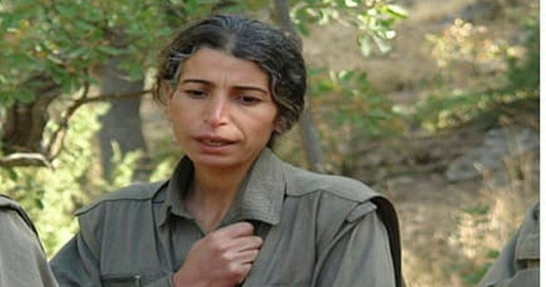 PKK’nın paradan sorumlu teröristi etkisiz hale getirildi