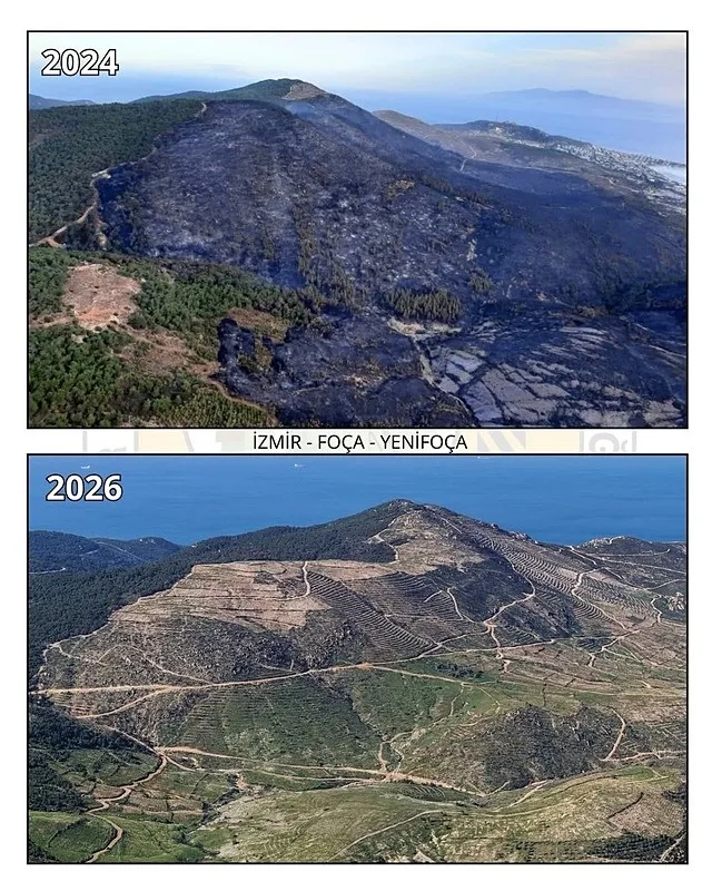 izmirde-orman-seferberligi-ak-partili-saygili-rakamlari-acikladi-130-milyon-327-bin-tohum-toprakla-bulusturuld-1783413340235.jpeg