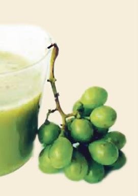 Gıdaların kalite ve içeriği kalorisinden daha önemli